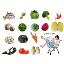 지구별장터 야채 소량 골라 담기 농산물 소포장 꾸러미 장보기, 알배기배추 1통