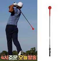 럭키WORLD 헤비 헤드 스윙연습기