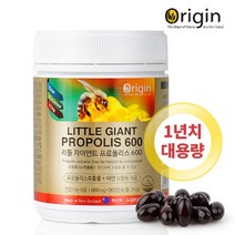 프로폴리스600 1년 365cap 대용량 아연 레시틴 보충제 구강영양제 플라보노이드 목이부었을때 항산화제, 자이언트 프로폴리스600 365캡슐