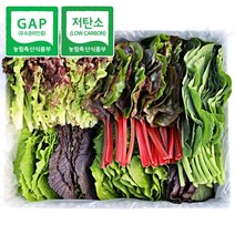 [청년프레쉬] 충북 충주 GAP 모듬 쌈채소 샐러드야채 600g 1kg 로메인 케일 양상추 치커리 적근대 적겨자, 모듬 샐러드 600g, 1개