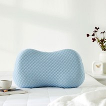 [모던하우스]커버가 있는 주니어 메모리폼 베개 블루 45*25.5*7 FP1322003, 단품