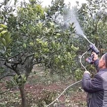 충전분무기 농약 세차 전동 충전식 분무기 살수기 워터건, 터보버전, 30미터, 1개