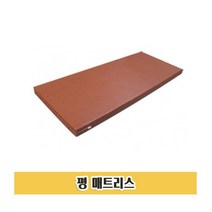 매트리스 P81 평평한 병원 운동 매트 낮은 베드 병원매트리스