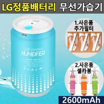[좋은하루] 무선가습기 국산 차량용가습기 초음파가습기 LG배터리 미니가습기 휴대용가습기, 본상품선택
