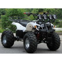 atv 사륜 오토바이 농업용 산악 레저용 4륜 바이크, 48V 750w 20AH 8인치 ATV
