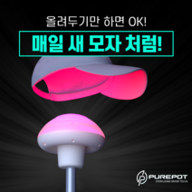 [퓨어팟 솔솔] 스마트 모자관리기 HAT WIG (PH01A) 살균 건조기 : 모자 가발 헬멧 전용, 퓨어팟 솔솔 WIG+