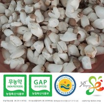 새송이는마니꺼 새송이버섯, 1kg 조림(미니), 1개