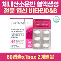 임산부 필수 영양제 철분 아미노산 엽산 비타민D 혈액 식약처 인정 건강기능식품 에너지 생성 4중 복합 기능성 블루베리 블랙커런스 딸기 크린베리 아사이베리 아미노산 글루타민 비타민E