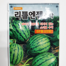 소과종 수박종자/복수박 고급 종자/리틀엔젤 수박 100립