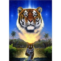 DIY 3D보석십자수 세트 호랑이 얼굴 흰수염 맹호 맹수 집들이 선물 220331079, 60cm*80cm, 원형비즈