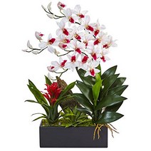 Nearly Natural Dendrobium Orchid and Bromeliad Silk Arrangement White, 1