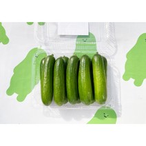 [산지직송][당일수확]스마트팜 다이어트 맛있는 미니 오이 750g 10-11개, 스마트팜 맛있는 미니 오이 750g 10-11개