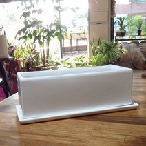 남가커머스 유광도기화분 옆이 넓은 직사각 30x10x10cm 04956-50964ea, namgac 본상품선택
