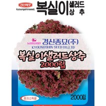 경신종묘 복실이샐러드상추 2000립 파종용 상추 씨앗