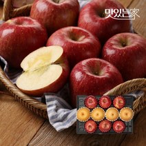사과배혼합 과일 선물세트 사과6과+배4과, 02.[과수원길]사과6과+배4과 총4kg제수용
