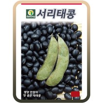 서리태콩씨앗 30g 콩씨앗 콩재배 영양만점 재래종 서리태콩씨