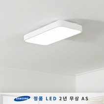더엘이디 시스템 LED방등 30W (삼성칩 KC인증), 블랙