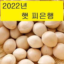 추천 박경철은행특대 인기순위 TOP100 제품 목록