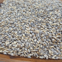 러브그레인 2021년 검정보리 쌀 블랙보리 흑보리 흑찰보리 쌀, 1개, 4kg