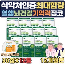식약처인증 부모님 노인 혈행개선 징코 영양제 부모님 뇌건강 도움 ginko blood circulation 노인 진코 어르신 종합 영양제 비타민 아연 판토텐산 은행잎 플라보놀배당, 12개월분