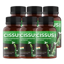 비카인 인도산 시서스 가루 100% 65배 고농축 추출분말 캡슐 1000mg, 720정 - 15% 추가할인