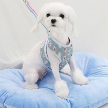 말티즈 말티푸 데님 강아지하네스 개가슴줄 개줄 노령견 훈련용 유기견 컨트롤 착용감, S