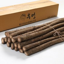 [더조은푸드] [서안동농협] 유명산지 우엉 중품 2kg, 상세 설명 참조