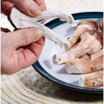 참송이버섯 국내산 송화버섯 송고버섯 상품 고급형 선물용 농장직송 500g 1kg, 상품(500g), 1개