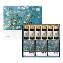 한삼인 기운담은 선물세트 + 쇼핑백, 1350ml, 1세트, 홍기천 50ml x15포 + 홍삼기력 100ml x6병