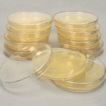 세균배양배지(60mm)-22408, 대장균