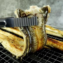 통영에서 갓 잡아올린 자연산100% 활장어 바다장어 1kg 산지직송 여름보양식 장어구이, 자연산 통영 활 장어 중(4~6미) 1kg
