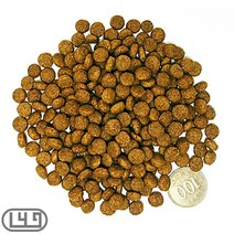 장모치와와 반려동물주식 싼 애견밥 전연령 치킨 개밥