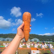 친환경 마음밭 흙당근 향 좋고 아삭한 국내산 무농약 당근 5kg, 중5kg, 1개