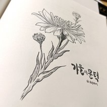 캘리그라피펜 붓펜 라인아트 펜 라인드로잉 8P 세트 리필잉크, 캘리그라피펜8P