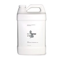 아일오브독스 COATURE No.10 이브닝 샴푸1gal, 단일속성