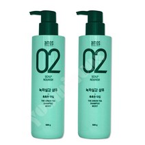 1+1/아모스프로페셔널 녹차실감 샴푸 모이스트 500g, 1+1(2개)