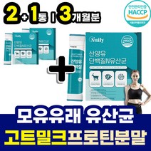네덜란드 퀄리고트 인증 락토바실러스 모유유래 유산균 함유 산양유단백질 단백질많은음식 남성 여성 헬스 운동 전 후 프로틴 쉐이크 마시는 맛있는 프로테인 30대 40대 50대 추천