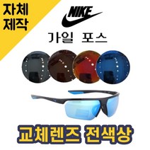 [당일발송][자체제작렌즈] 나이키 가일 포스 DC2908451 교체렌즈전제품 낚시고글, (일반색상) 그레이
