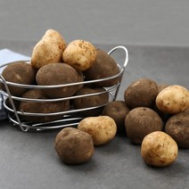친환경 못난이감자 강원도감자 중품 2kg, 없음