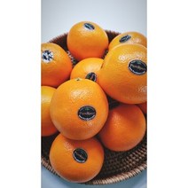 과일대접 명품 오렌지 퓨어스펙 블랙라벨, 5kg