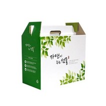 자체제작 한약박스 자연이주는선물(특대) 50장, 더 바른 1