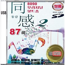 USB 앨범 음반 노래 음악 8090 오리지널 힛트송 동감 2집 김범수 임재범 성시경 룰라 임창정 박기영 플라워