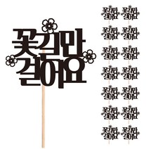 비비드레인 꽃다발 화분 떡 케이크 장식 데코 메세지픽, 03-꽃길만걸어요(15개)