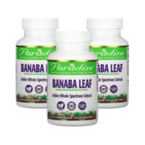 2+1 파라다이땡허브 파라다이스 바나바잎 고함량 Paradise Banaba Leaf 코로졸산 약들약 고약사 60베지캡슐
