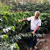 [위트러스트] 브라질 피치피치 200g Brazil Peach Peach/ 스페셜티 커피 원두, 더치(프렌치프레스)