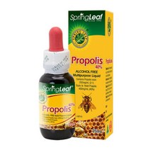Spring Leaf F PROPOLIS LIQUID 스프링리프 호주 프로폴리스 40％ 리퀴드 알코올 프리 25ml