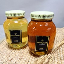 허니랜드 아카시아꿀 잡화꿀 야생화꿀 지리산 산청 양봉 천연 벌꿀, 1개, 야생화꿀 2.4kg, 2.4kg