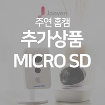 주연전자 2~300만화소 홈캠, (옵션1) MICRO SD 카드 32GB