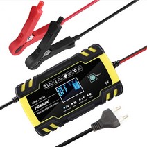 FOXSUR 자동차 배터리 충전기 펄스 수리 LCD 고속 전력 습식 건조 납산 디지털 디스플레이 12 V 8A 터, 12V 8A 24V 4A EU _CHINA, 02 12V 8A 24V 4A EU