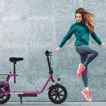 이지라이드 EASY RIDE S2 전동 미니 바이크, 실버